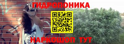 крисы Апрелевка