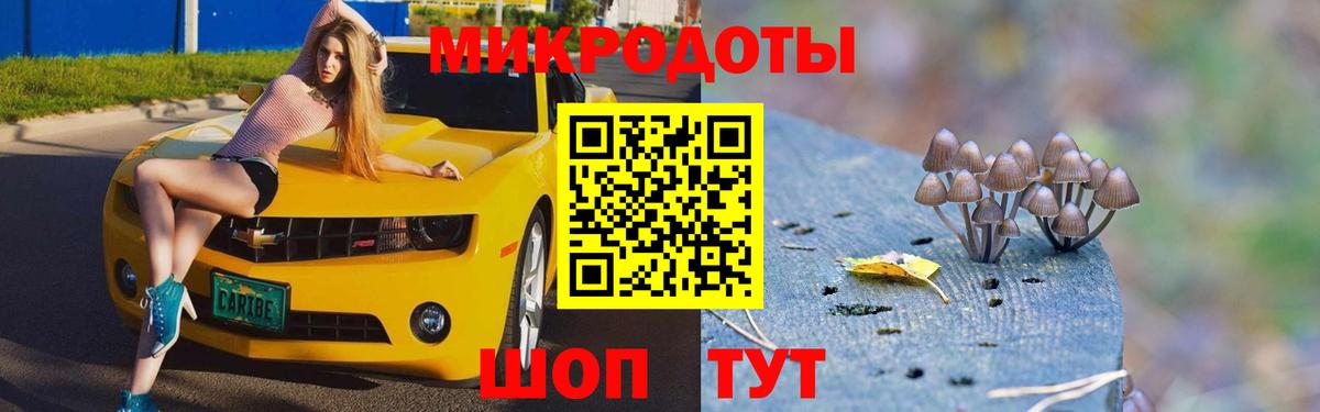 Галлюциногенные грибы Psilocybe Шадринск